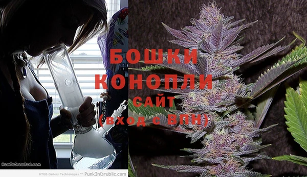 стаф Бугульма